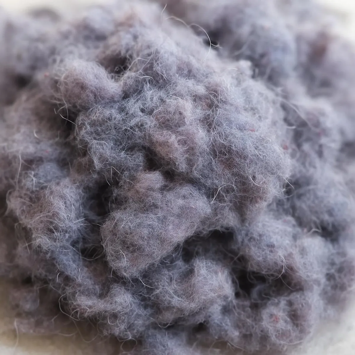 Close-up of lint fibers collected from laundry