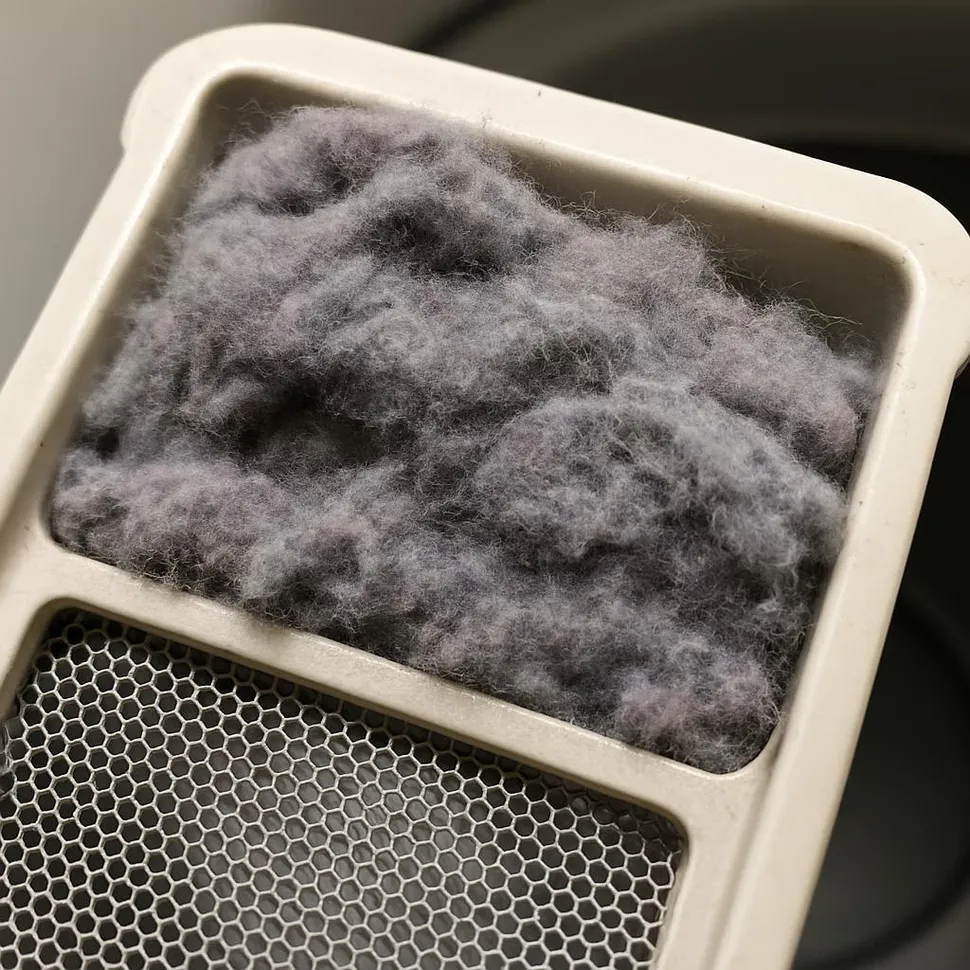 Close-up of lint in a lint trap