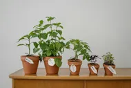 eco-friendly-swaps-for-the-lazy-environmentalist